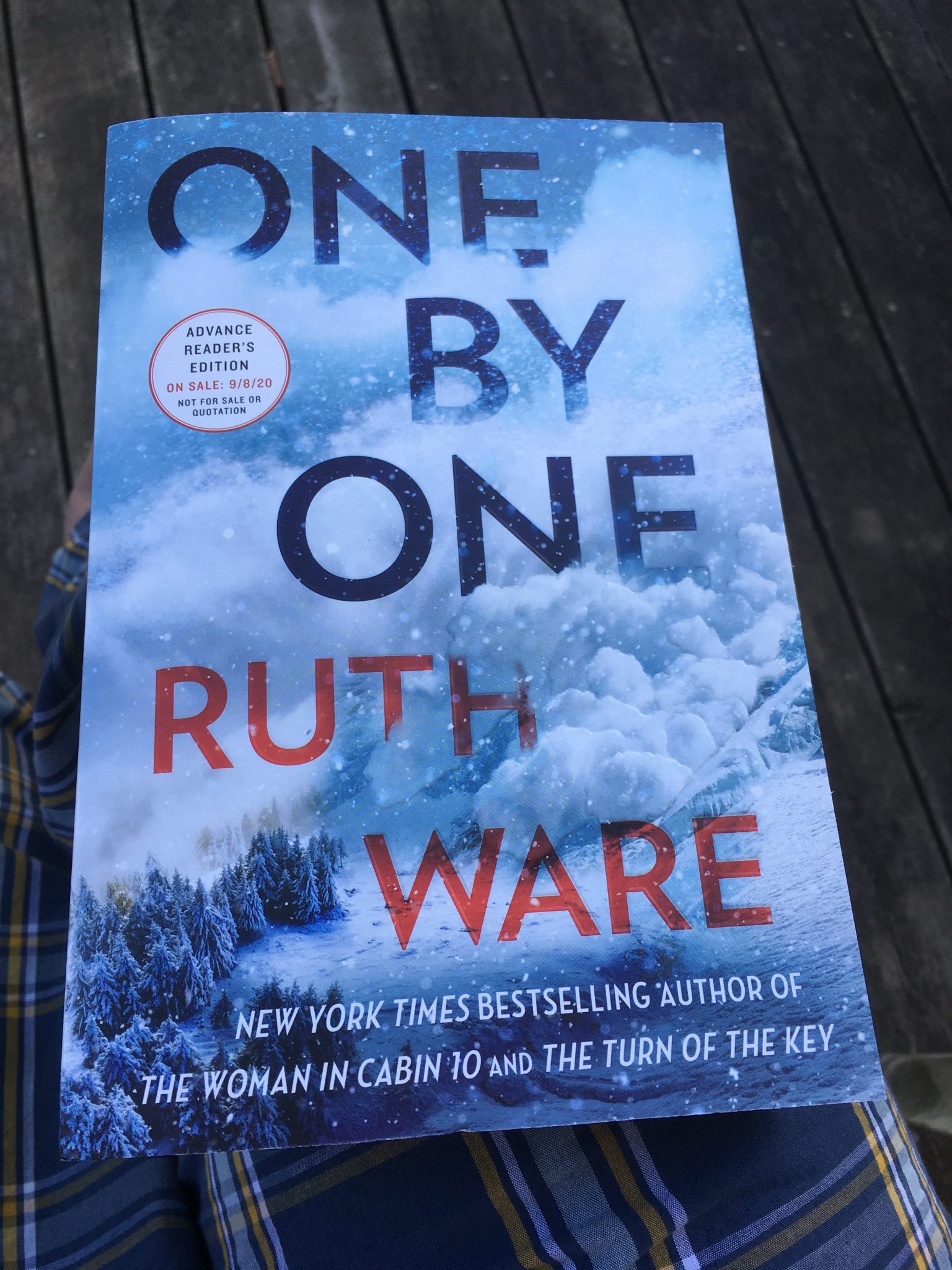 one by one ruth ware book review