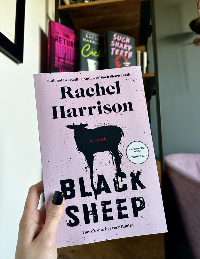 Black Sheep by Rachel Harrison Review – Eggplante!